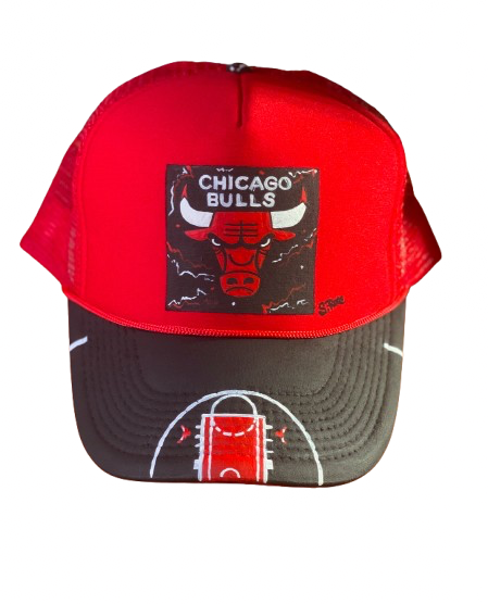 Bulls Black Court